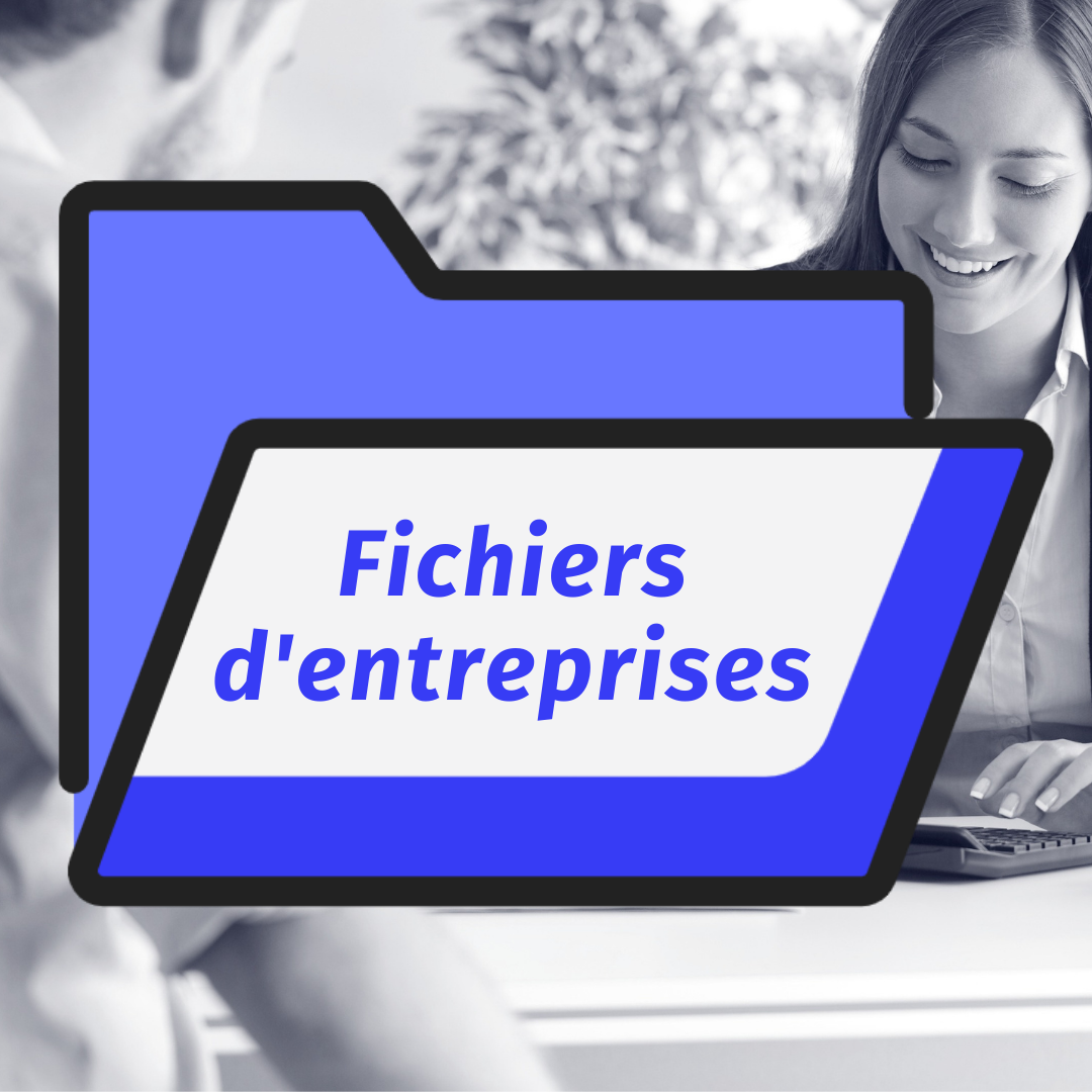 Fichiers d'entreprises