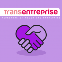 Transentreprise